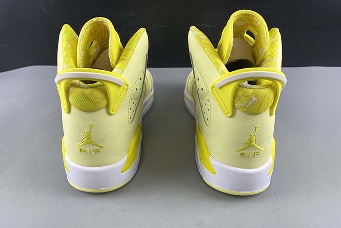 Air Jordan 6 GS Floral 543390-800