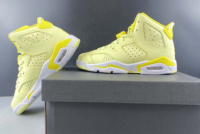 Air Jordan 6 GS Floral 543390-800