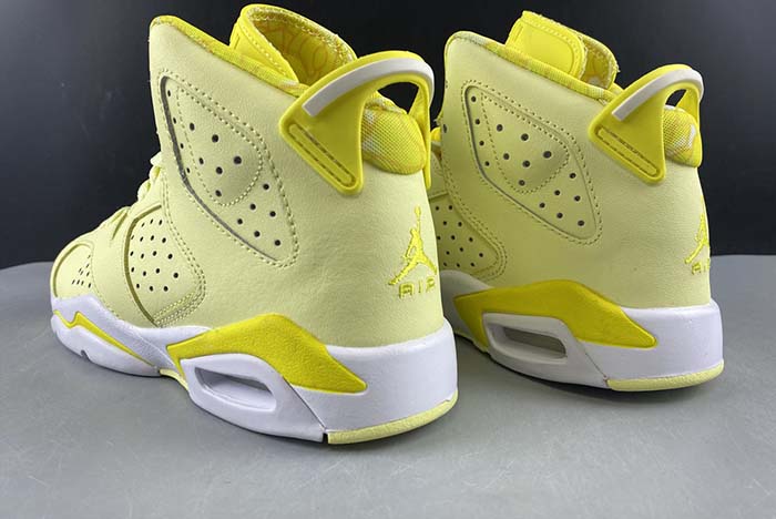 Air Jordan 6 GS Floral 543390-800