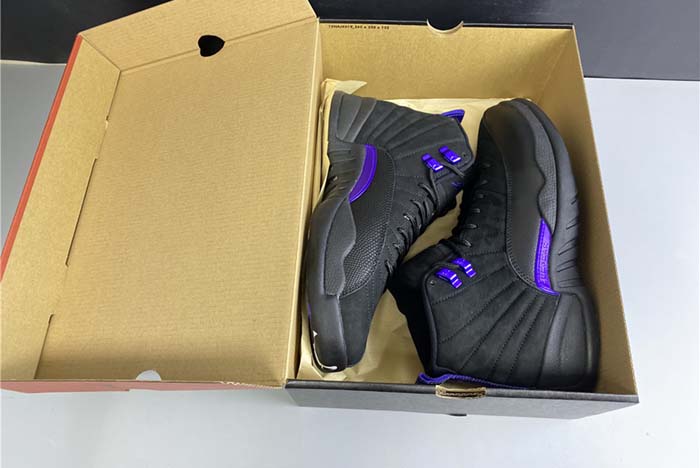 Air Jordan 12 “Dark Concord”  CT8013-005