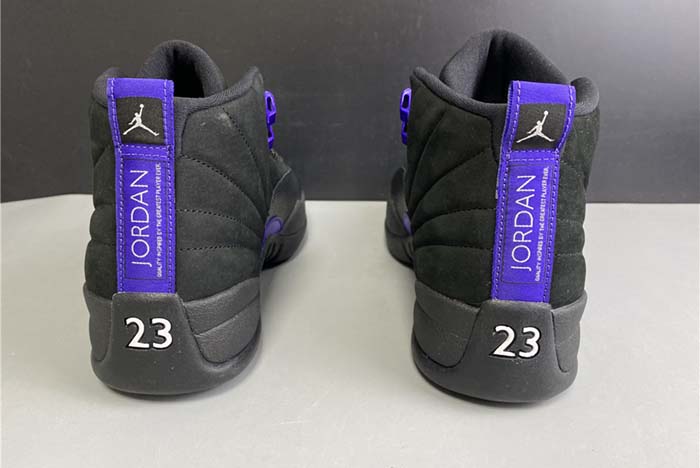 Air Jordan 12 “Dark Concord”  CT8013-005