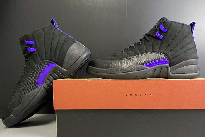 Air Jordan 12 “Dark Concord”  CT8013-005