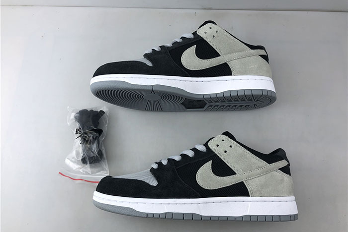 NIKE SB ZOOM DUNK LOW PRO 854866-001