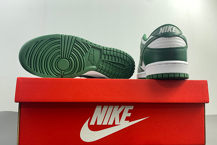 Nike Dunk Low Michigan State - DD1391-101