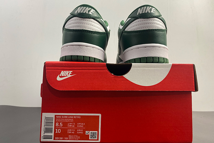 Nike Dunk Low Michigan State - DD1391-101