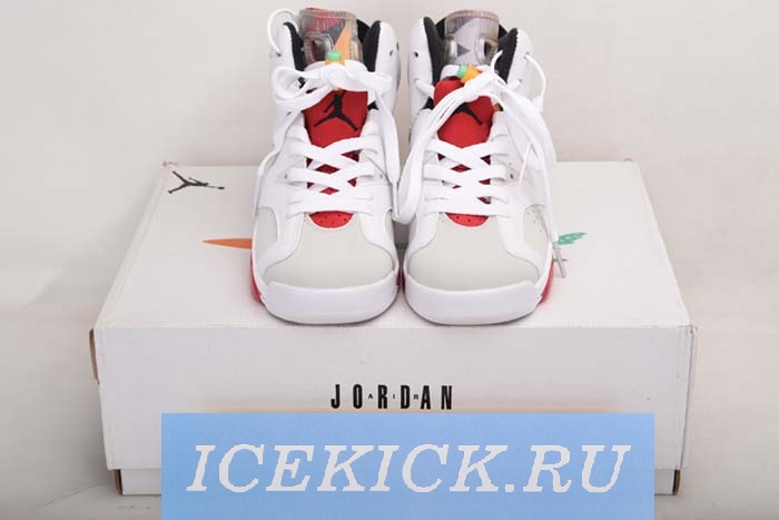 AIR JORDAN 6 AJ6 CT8529-062
