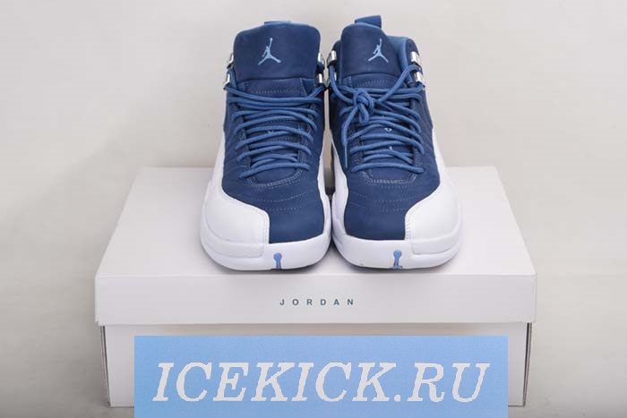 Air Jordan 12 130690-404