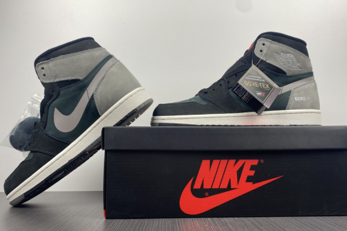 Air Jordan 1 Element Gore-Tex DB2889-001