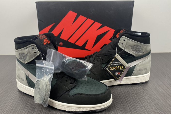 Air Jordan 1 Element Gore-Tex DB2889-001