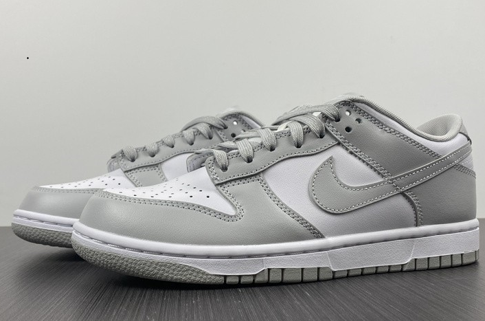 NIKE DUNK LOW RETRO DD1391-103