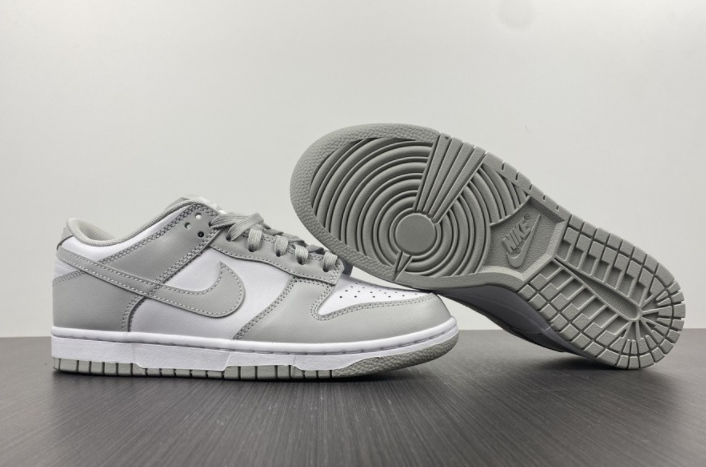 NIKE DUNK LOW RETRO DD1391-103