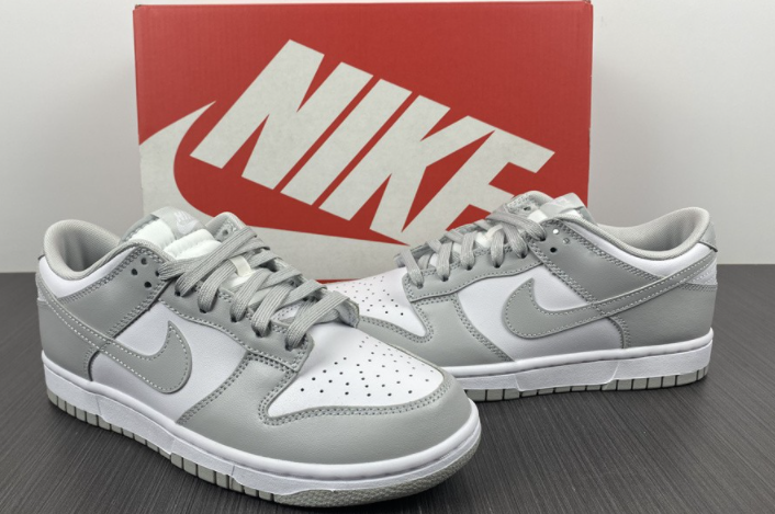 NIKE DUNK LOW RETRO DD1391-103
