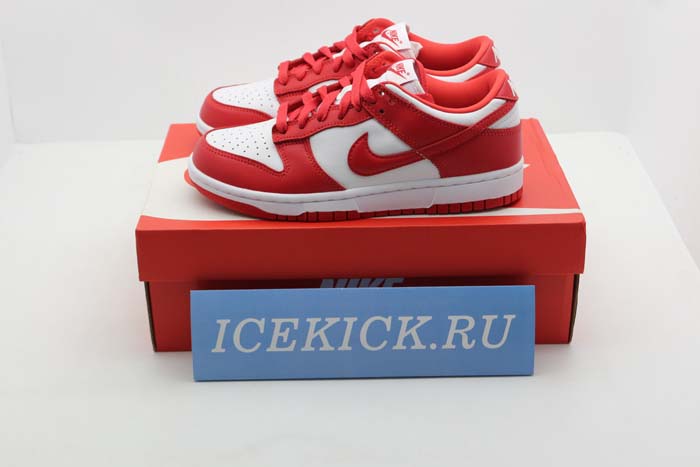 NIKE DUNK LOW SP CU1727-100