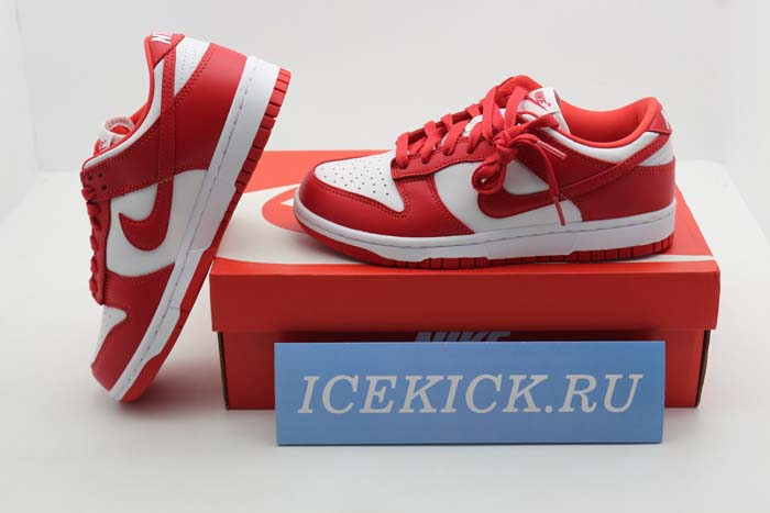 NIKE DUNK LOW SP CU1727-100