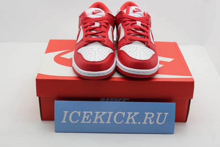 NIKE DUNK LOW SP CU1727-100