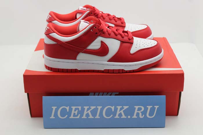 NIKE DUNK LOW SP CU1727-100