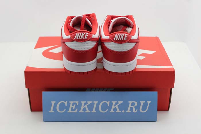 NIKE DUNK LOW SP CU1727-100