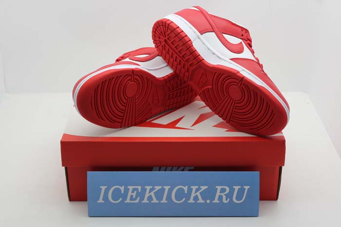 NIKE DUNK LOW SP CU1727-100