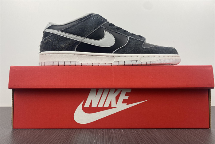 Nike Dunk Low  DH7913-001