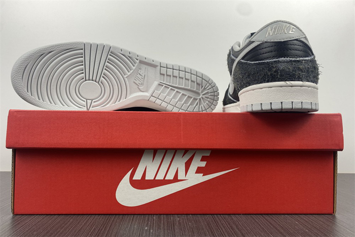 Nike Dunk Low  DH7913-001