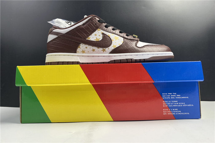S*p*e x nike sb dunk low dh3228-103