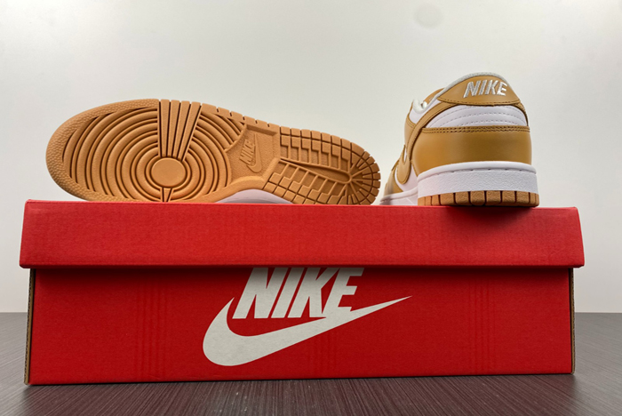 Nike Dunk Low dd1503-114