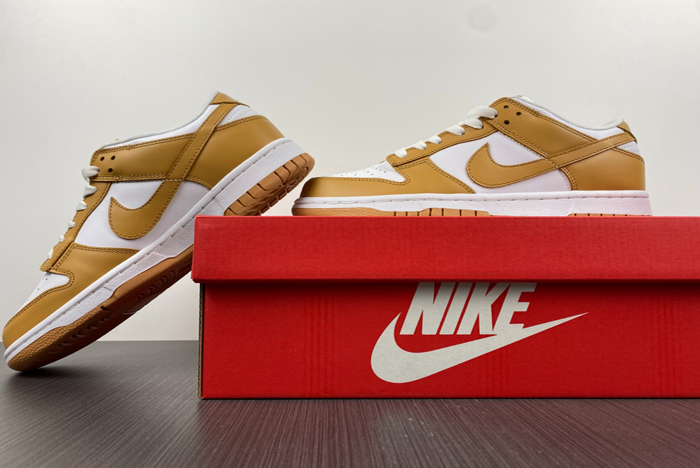 Nike Dunk Low dd1503-114