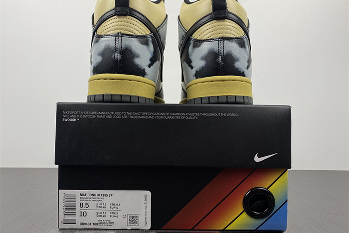 Nike Dunk High DD9404-700