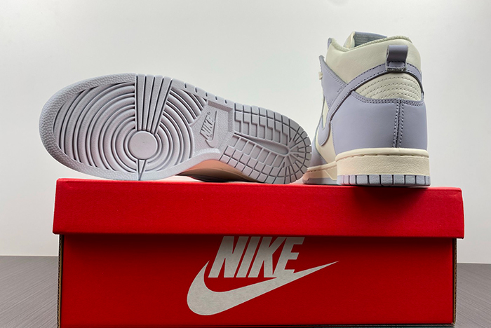 Nike Dunk High DD1869-102