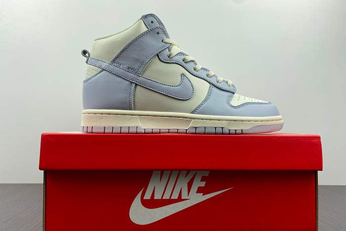 Nike Dunk High DD1869-102
