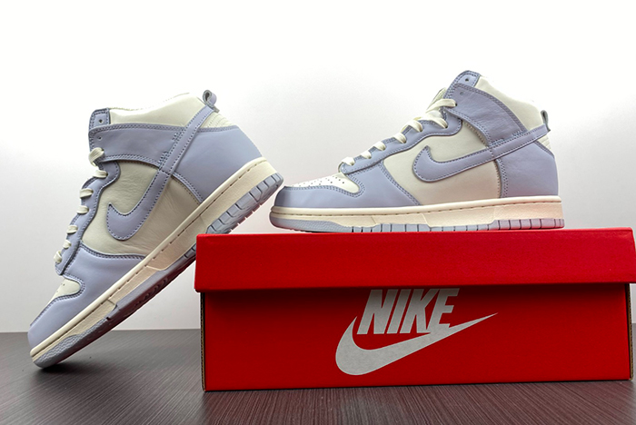 Nike Dunk High DD1869-102