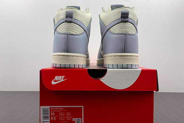 Nike Dunk High DD1869-102