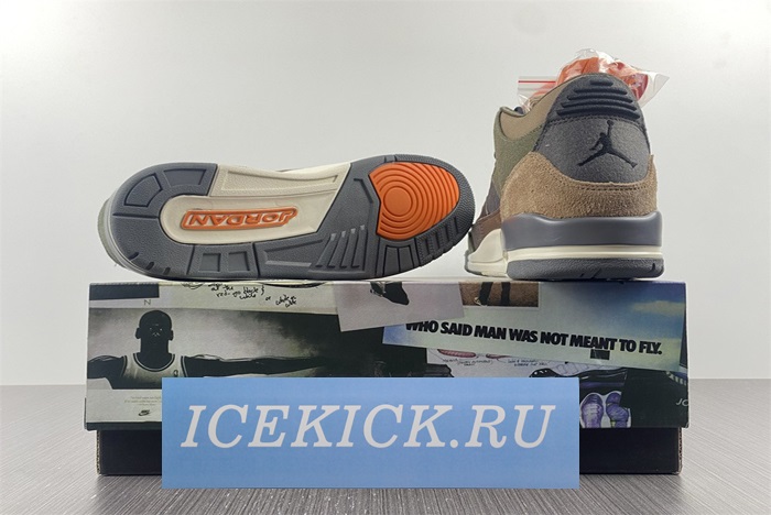 Air Jordan 3 “Camo” DO1830-200