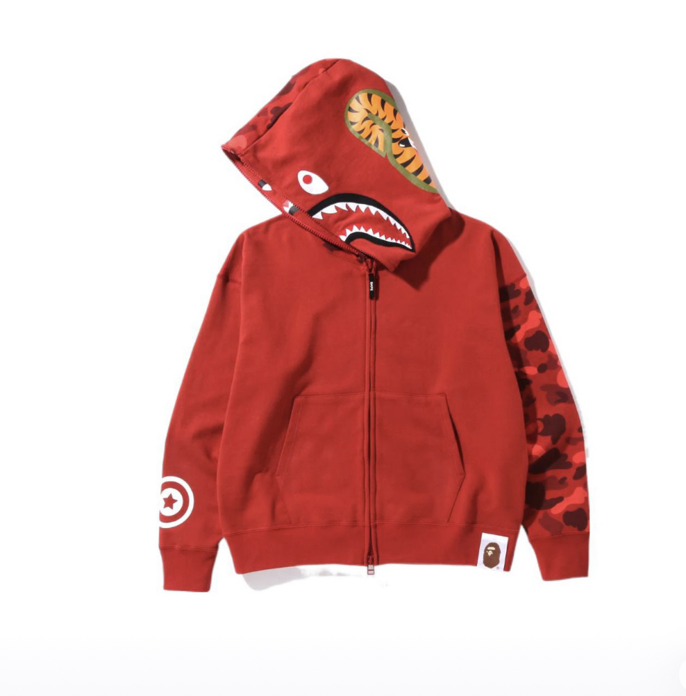 bape hoodie 13