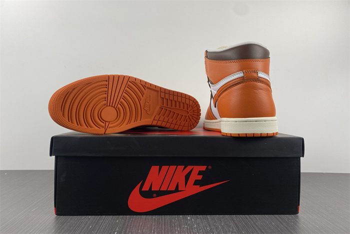 Air Jordan 1 High "Starfish"  DO9369-101