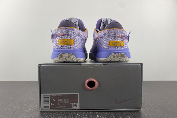 Nike LeBron 20 LBJ20  DJ5422-500