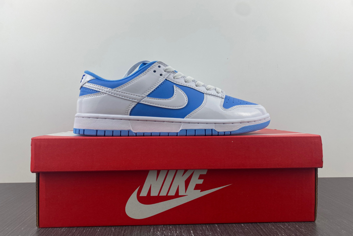 NIKE Dunk Low ESS DJ9955-101