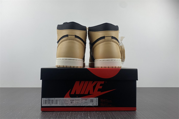 Air Jordan 1 Hig OG  555088-202