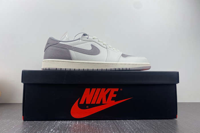 Air Jordan 1 Low ” DN0790-101