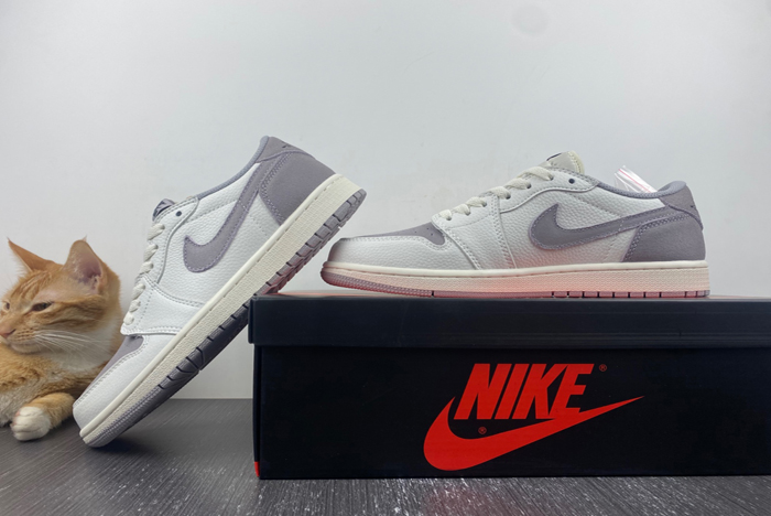 Air Jordan 1 Low ” DN0790-101