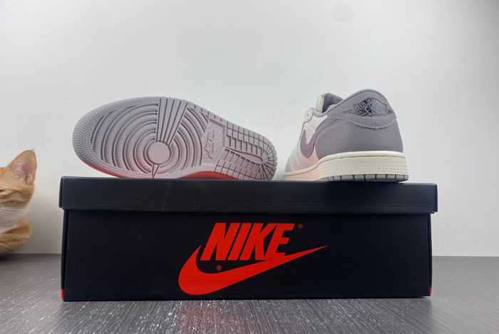 Air Jordan 1 Low ” DN0790-101