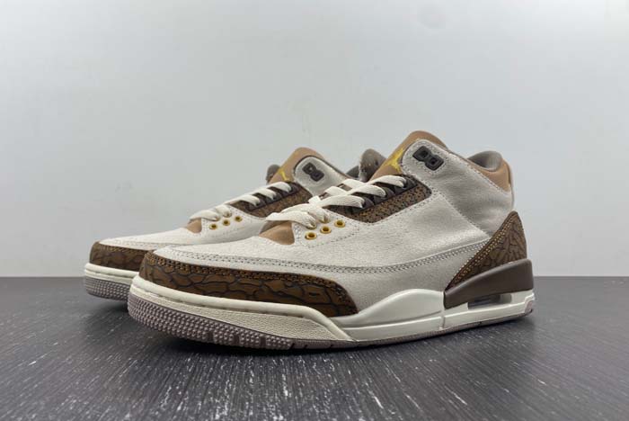 Air Jordan 3 “Palomino”  CT8532-102