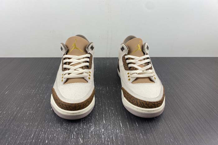 Air Jordan 3 “Palomino”  CT8532-102