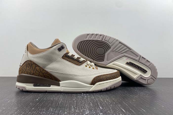 Air Jordan 3 “Palomino”  CT8532-102