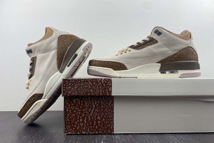 Air Jordan 3 “Palomino”  CT8532-102