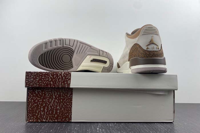 Air Jordan 3 “Palomino”  CT8532-102