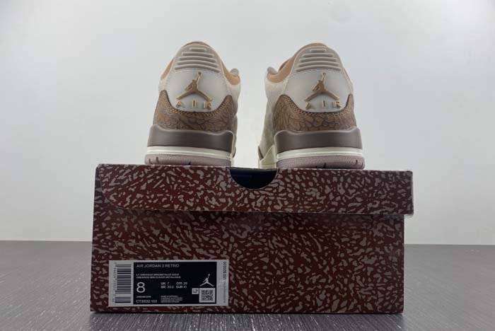 Air Jordan 3 “Palomino”  CT8532-102