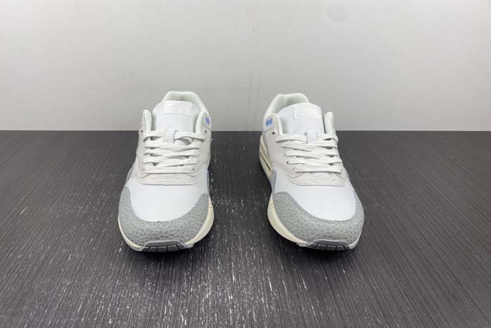 Nike Air Max 1 “Safari” FB5059-100