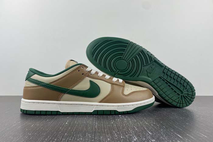 Nike Dunk Low Retro  FB7160-231
