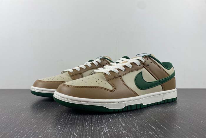 Nike Dunk Low Retro  FB7160-231